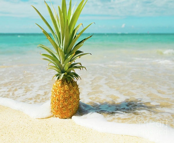 Pineapple Beach Club Antigua