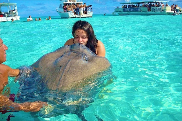 Stingray City Antigua