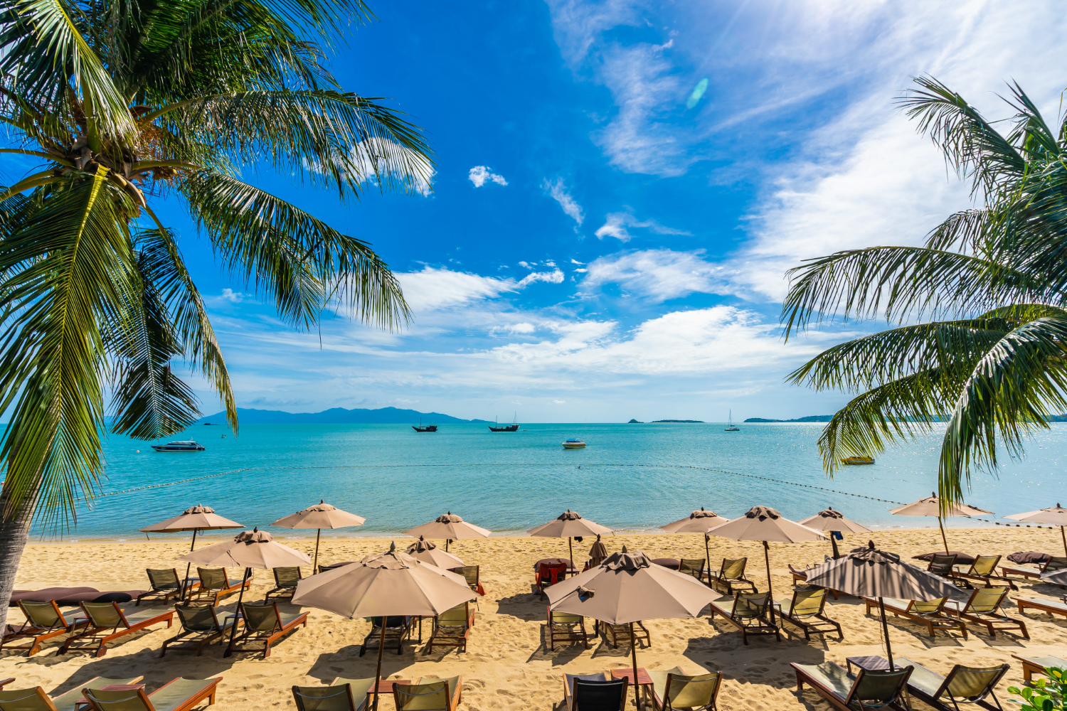 Discover the Caribbean Paradise: Tours in Antigua