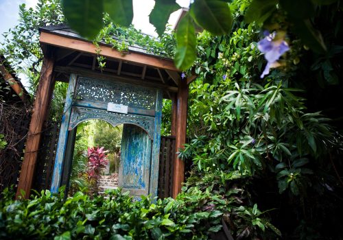 Ultimate Serenity: Spa Vacation Packages in Antigua Resorts